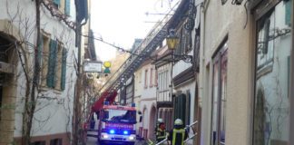 Brandeinsatz (Foto: Feuerwehr Neustadt)