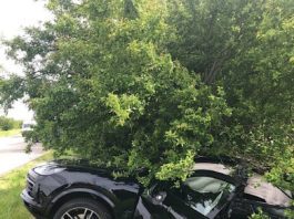 Unfallfahrzeug (Foto: Polizei RLP)