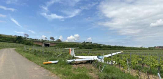 Notgelandeter Segelflieger (Foto: Polizei RLP)