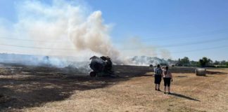 Flächenbrand (Foto: Feuerwehr Haßloch)