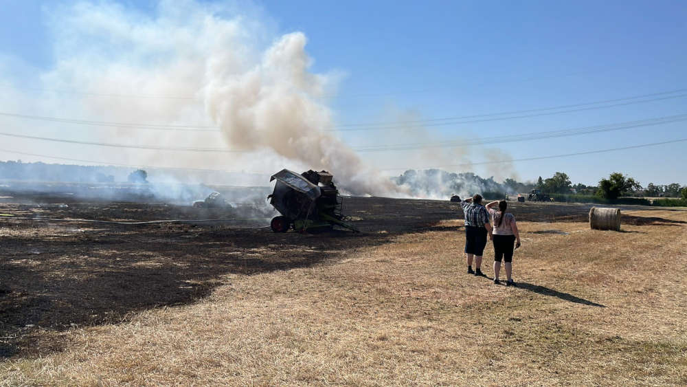 Flächenbrand (Foto: Feuerwehr Haßloch)