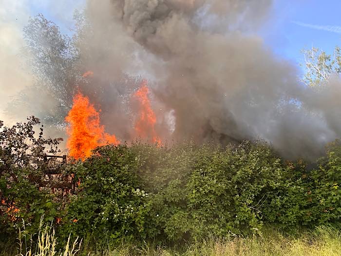 Foto: Feuerwehr Neustadt