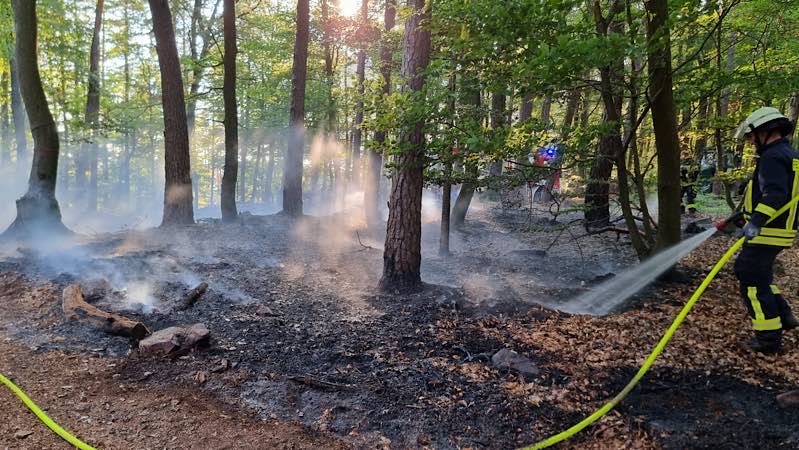 Waldbrand (Foto: Feuerwehr VG Lambrecht)