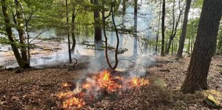 Waldbrand (Foto: Feuerwehr VG Lambrecht)