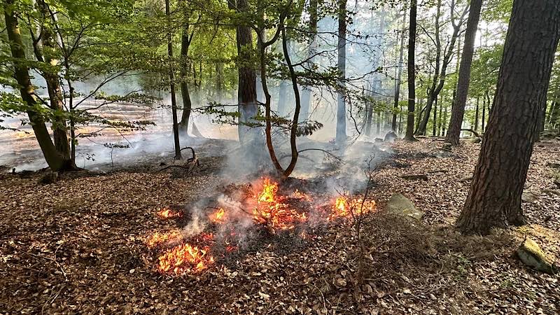 Waldbrand (Foto: Feuerwehr VG Lambrecht)