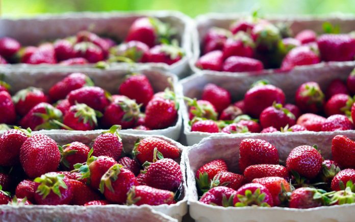 Symbolbild, Erdbeeren © matthiasboeckel on Pixabay