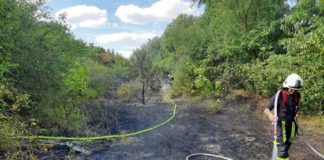 Flächenbrand (Foto: Feuerwehr Haßloch)