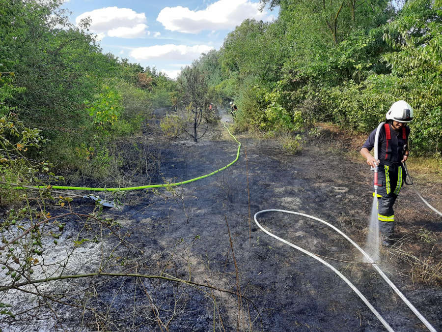 Flächenbrand (Foto: Feuerwehr Haßloch)