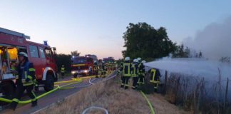 Flächenbrand (Foto: Feuerwehr Neustadt)