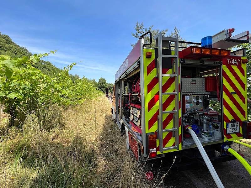 Foto: Feuerwehr Neustadt