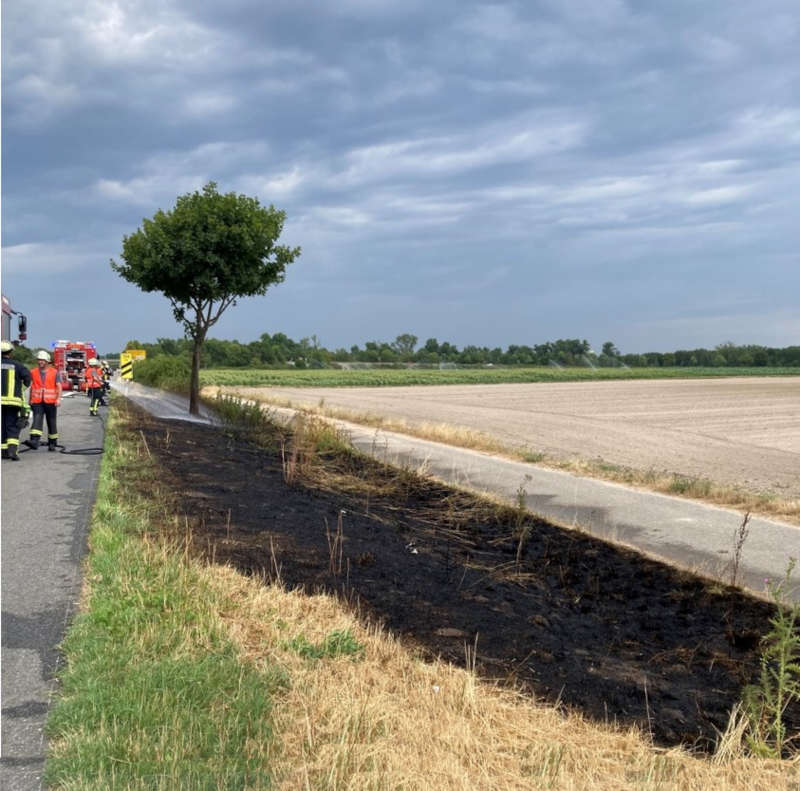 Flächenbrand (Foto: Polizei RLP)