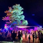 Wolfsgeheul auf der Wolfsburg (Foto: Die Waldschatten)