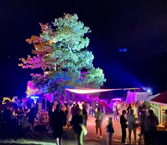 Wolfsgeheul auf der Wolfsburg (Foto: Die Waldschatten)
