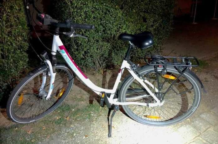 pol-pdlu-speyer-polizei-sucht-eigent-mer-damenrad-pegasus-in-franz-sch-berl-stra-e-sichergestellt-fo-700
