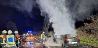 Fahrzeugbrand (Foto: Feuerwehr Neustadt)