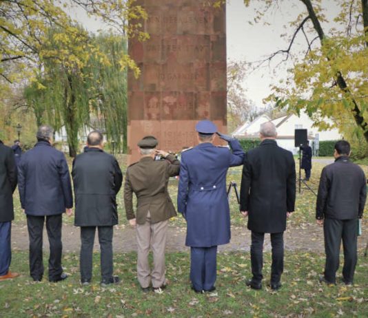 Gedenken am Ehrenmal in Germersheim.  (Foto: Fw Proulx)