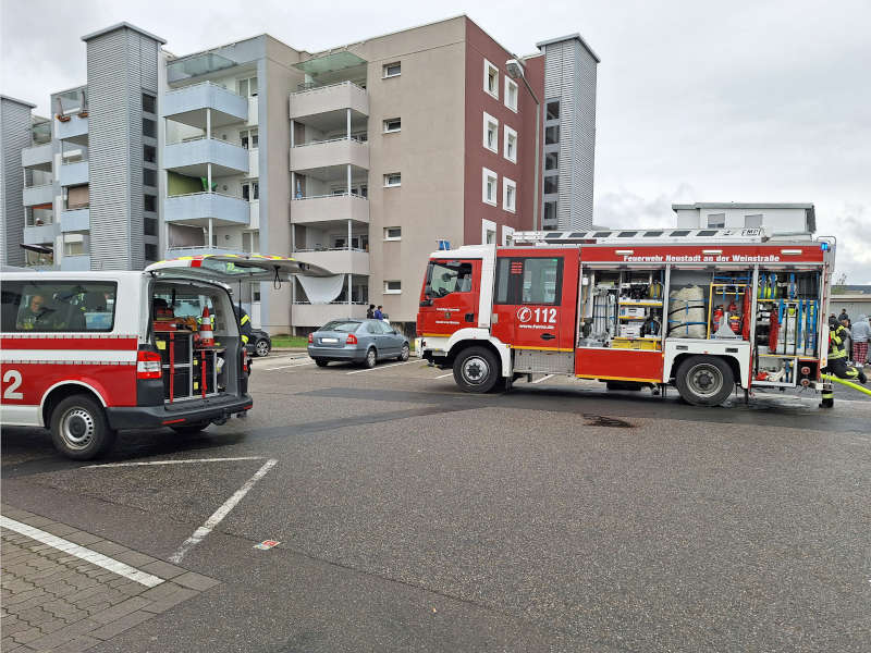 Foto: Feuerwehr Neustadt