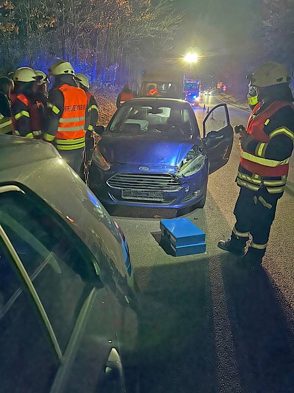 Verkehrsunfall (Foto: Feuerwehr Neustadt)