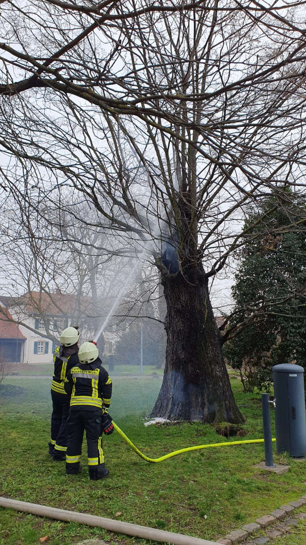 Foto: Feuerwehr Neustadt