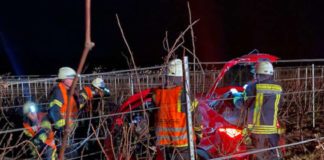 Verkehrsunfall (Foto: Feuerwehr Neustadt)