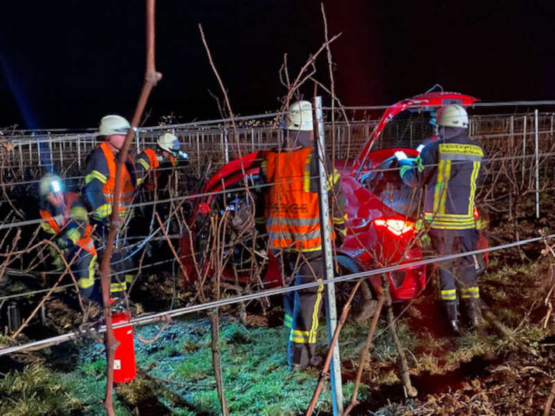 Verkehrsunfall (Foto: Feuerwehr Neustadt)