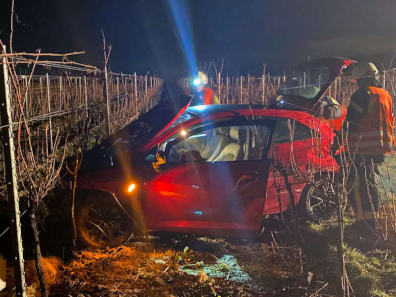 Verkehrsunfall (Foto: Feuerwehr Neustadt)