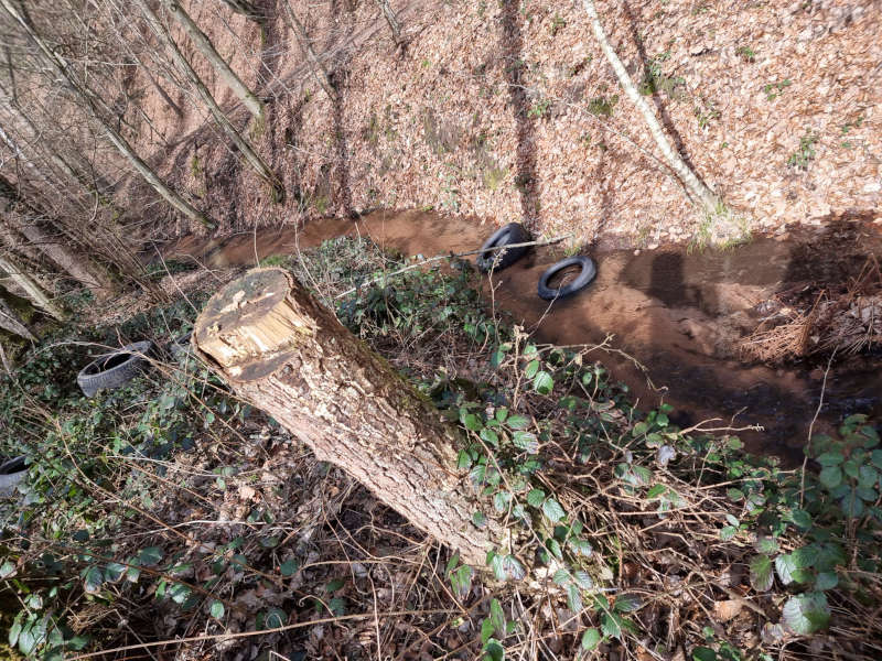 Illegale Reifenentsorgung Bach (Foto: Kreisverwaltung)