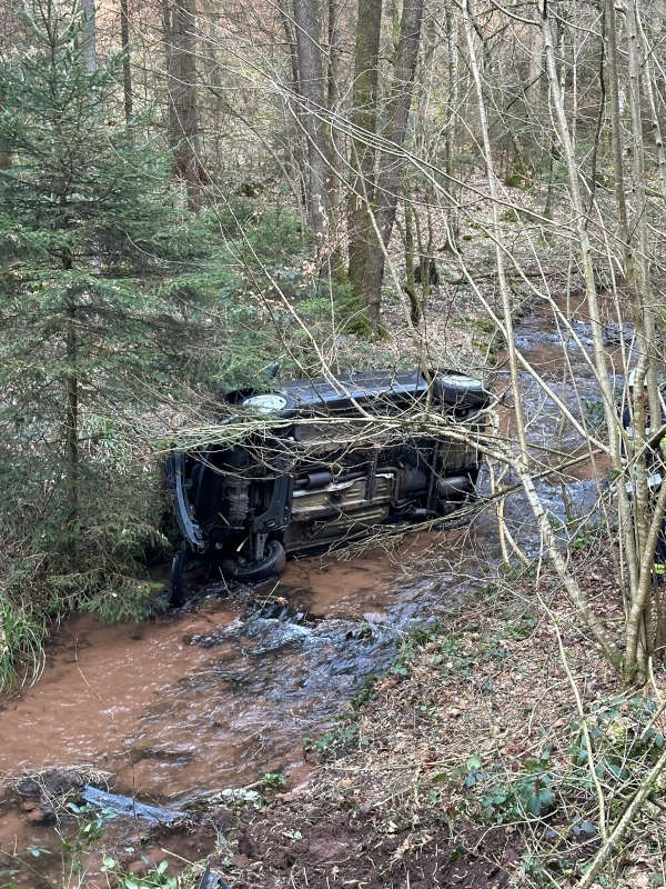 Verunfallter PKW (Foto: Feuerwehr VG Lambrecht)