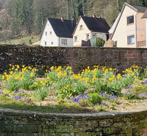 Blumen am Friedhof Lambrecht (Foto: privat)