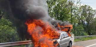 Fahrzeugbrand (Foto: Feuerwehr Neustadt)