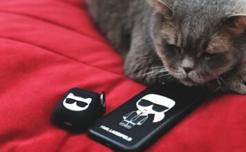 Katze mit Karl Lagerfeld Merch
