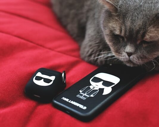 Katze mit Karl Lagerfeld Merch